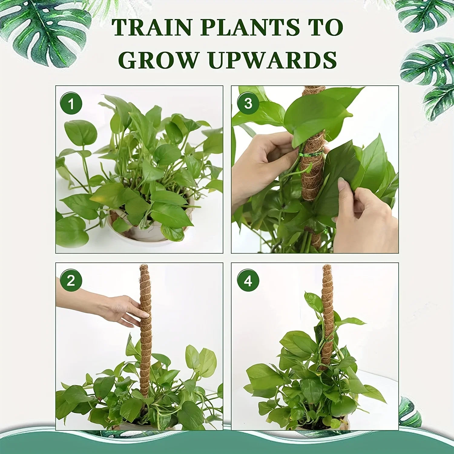 Bendable Moss Pole for Indoor Plants – Tall 23.6''/43.3'' Climbing Support for Monstera & More - Image 6