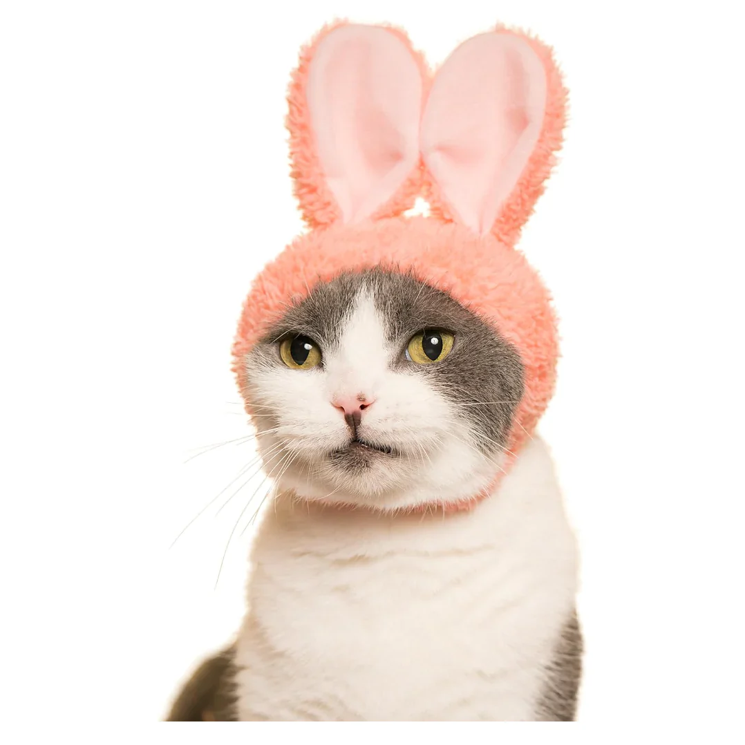 Kitan Club - Blind Box - Bunny Cat Cap - Image 2