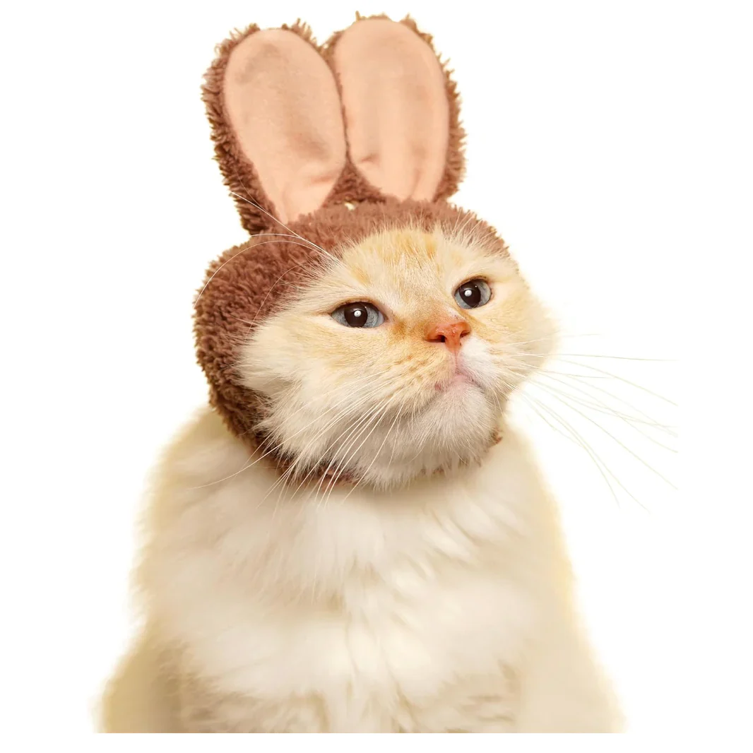 Kitan Club - Blind Box - Bunny Cat Cap - Image 3