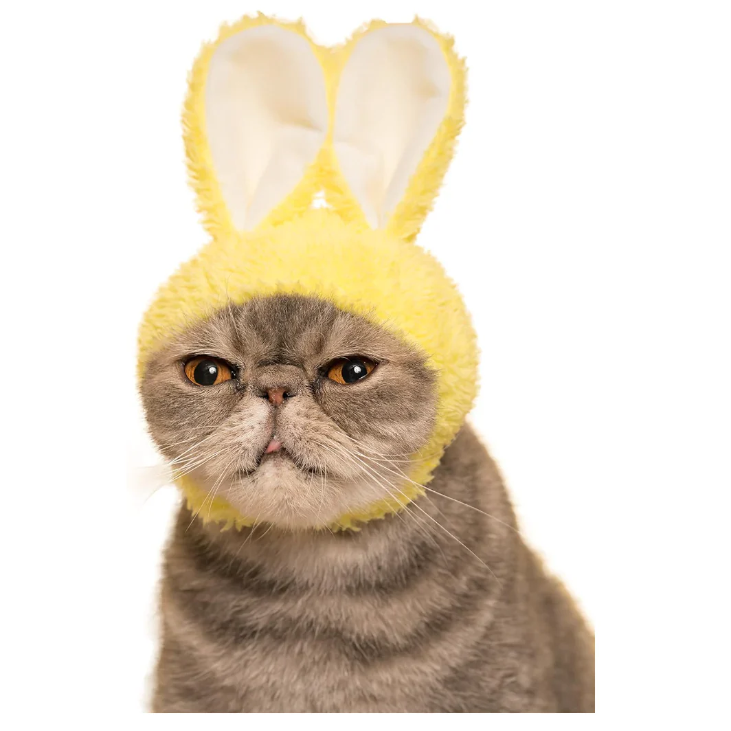 Kitan Club - Blind Box - Bunny Cat Cap - Image 4