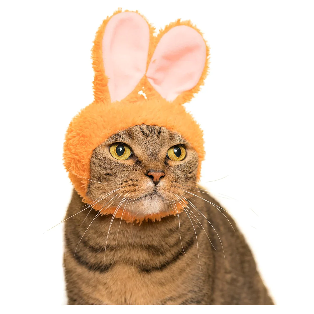 Kitan Club - Blind Box - Bunny Cat Cap - Image 5