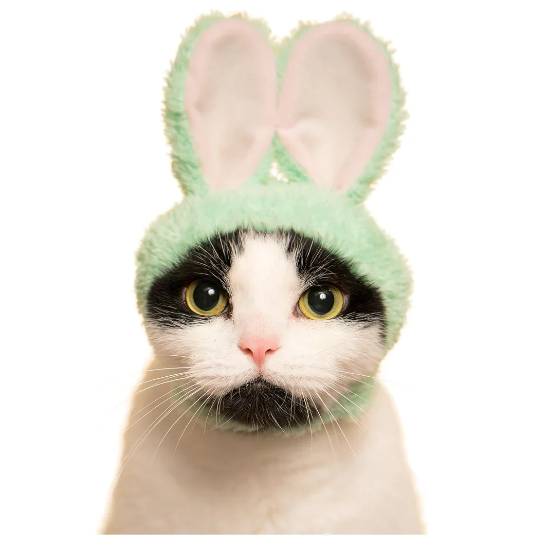 Kitan Club - Blind Box - Bunny Cat Cap - Image 6