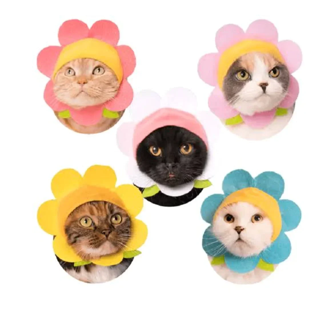 Blind Box- Flower Cat Cap - Image 2