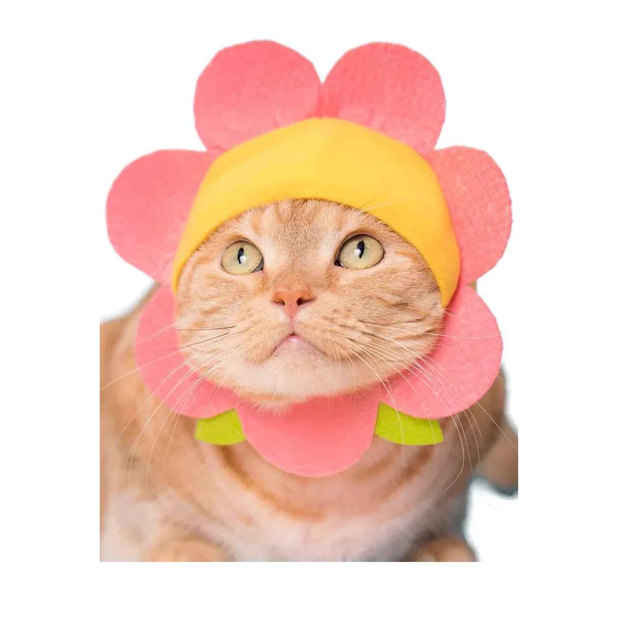 Blind Box- Flower Cat Cap - Image 3