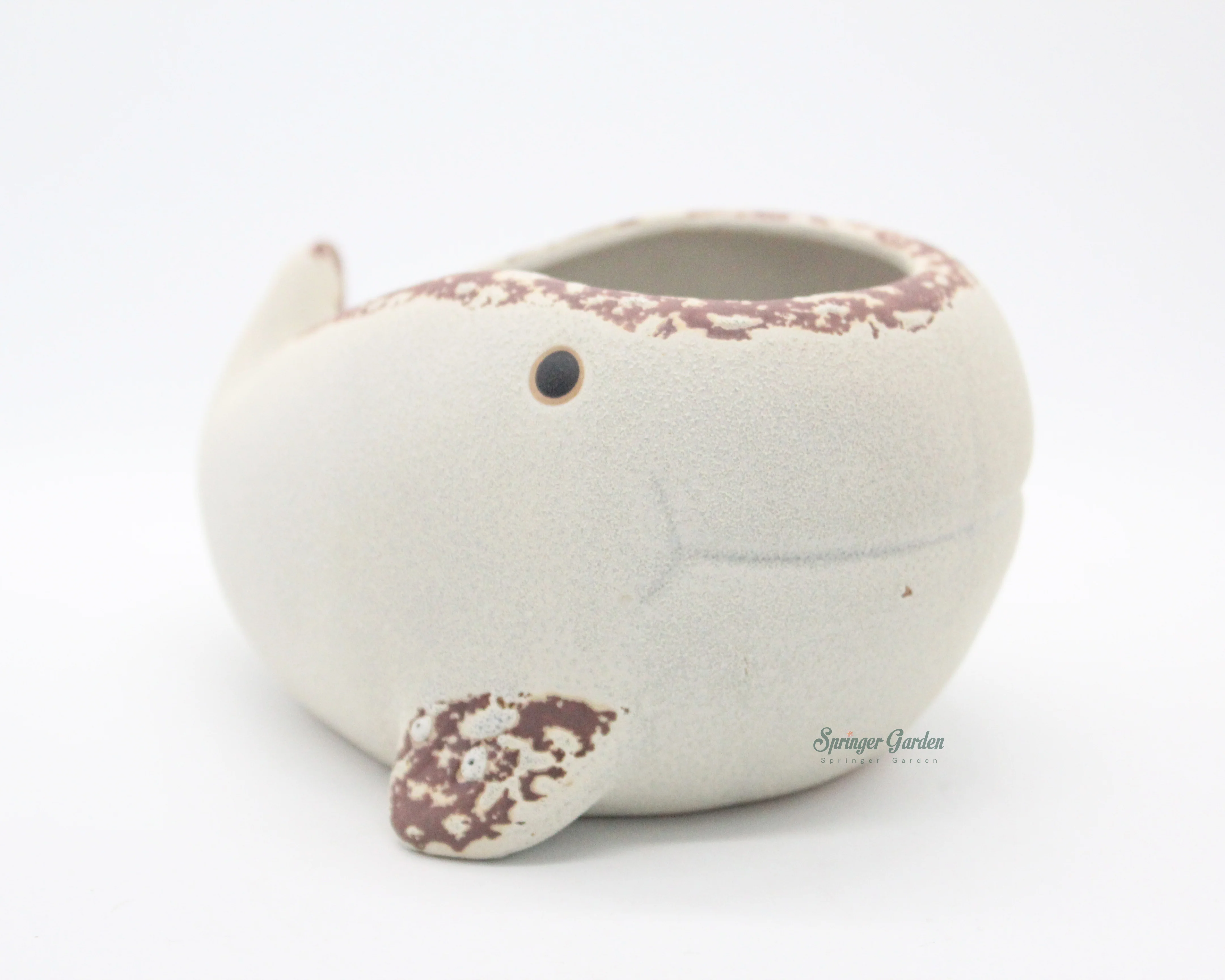 Whale Family - Image 9