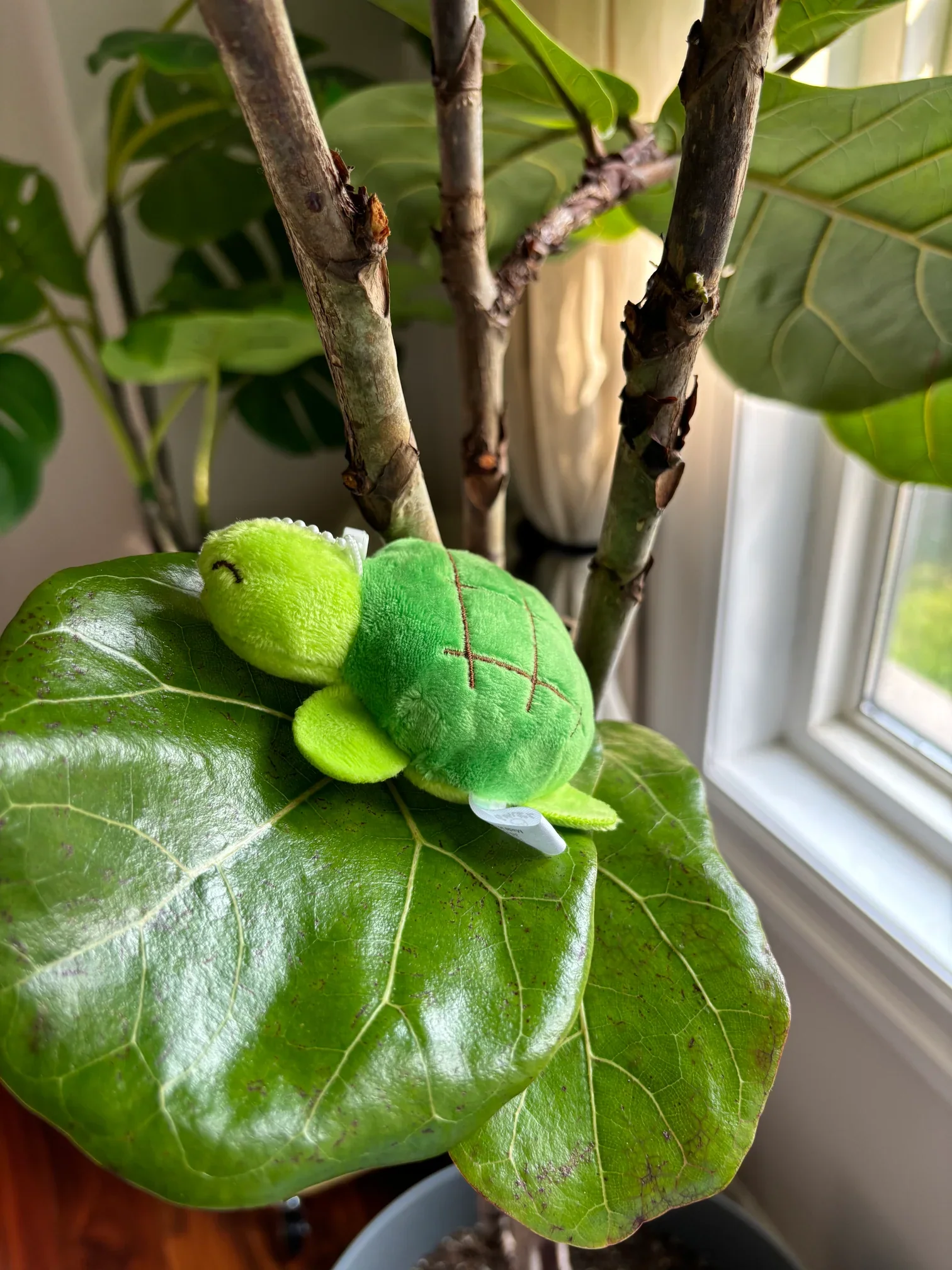 Bun Turtle keychain - Image 4