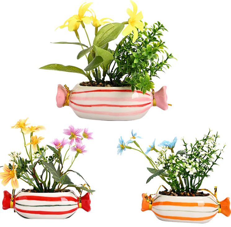 Candy Planter