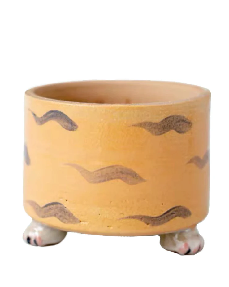 Cat Paw Ginger - Image 3