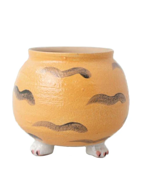 Cat Paw Ginger - Image 4