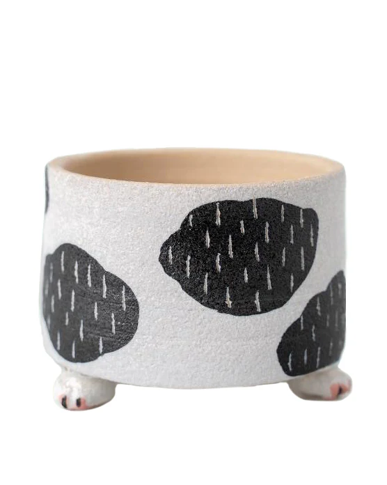 Cat Paw Panda - Image 3