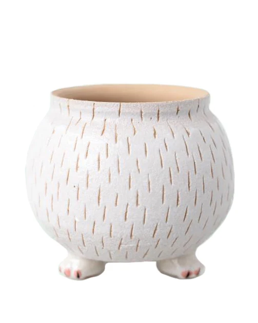Cat Paw White - Image 3