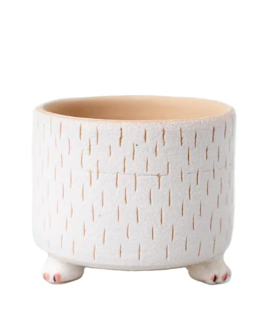 Cat Paw White - Image 4
