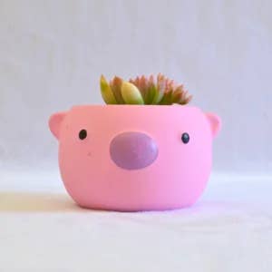 Colorful Matte Animal Pot series 2 - Image 5