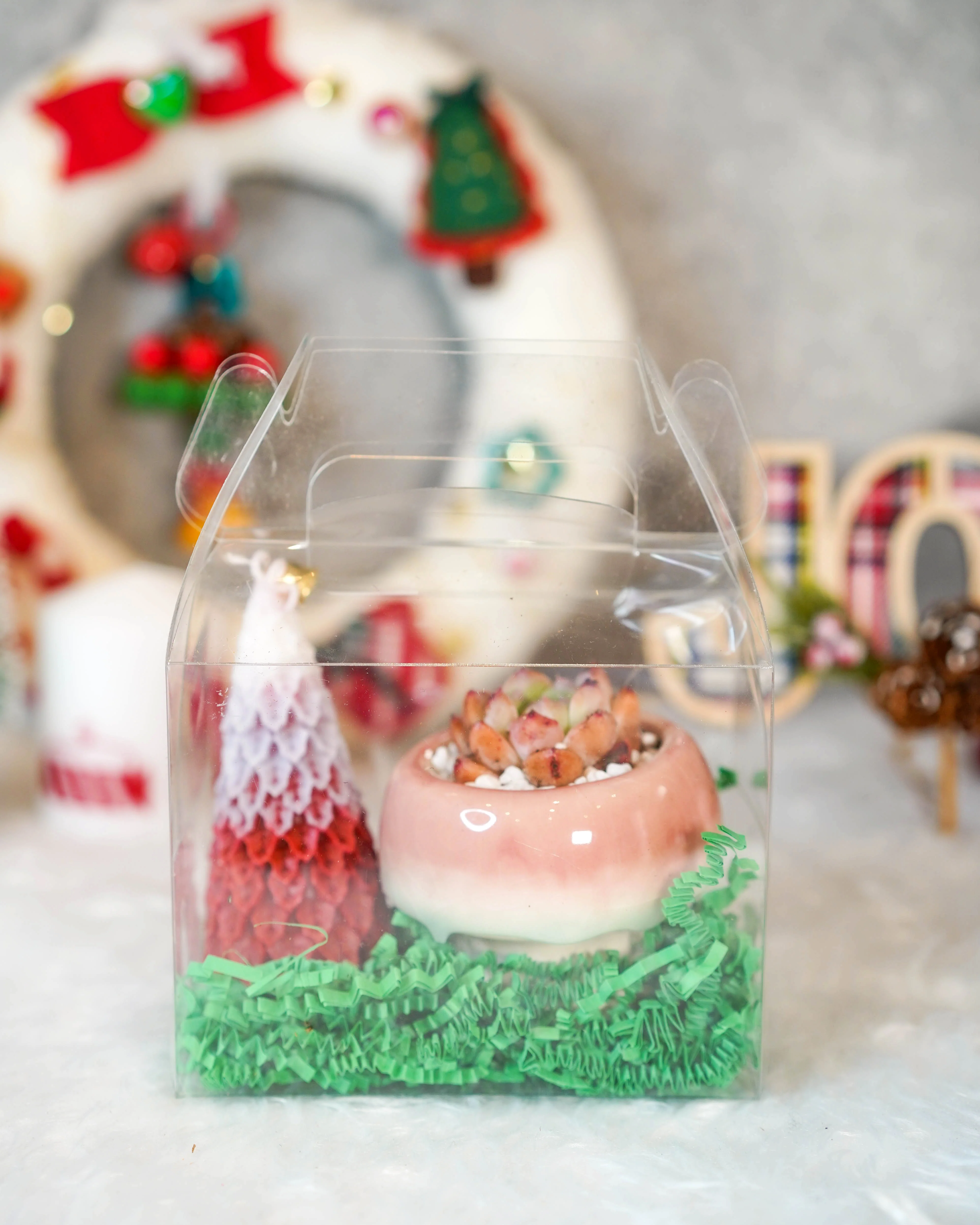 "Mushroom" Korean Succulent Gift Box - Image 4