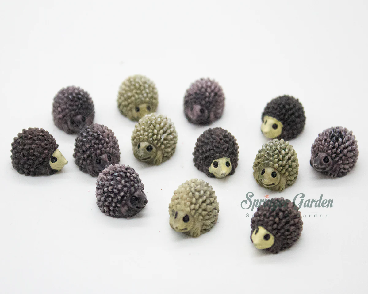 Micro Landscape / Card Holder - Image 6