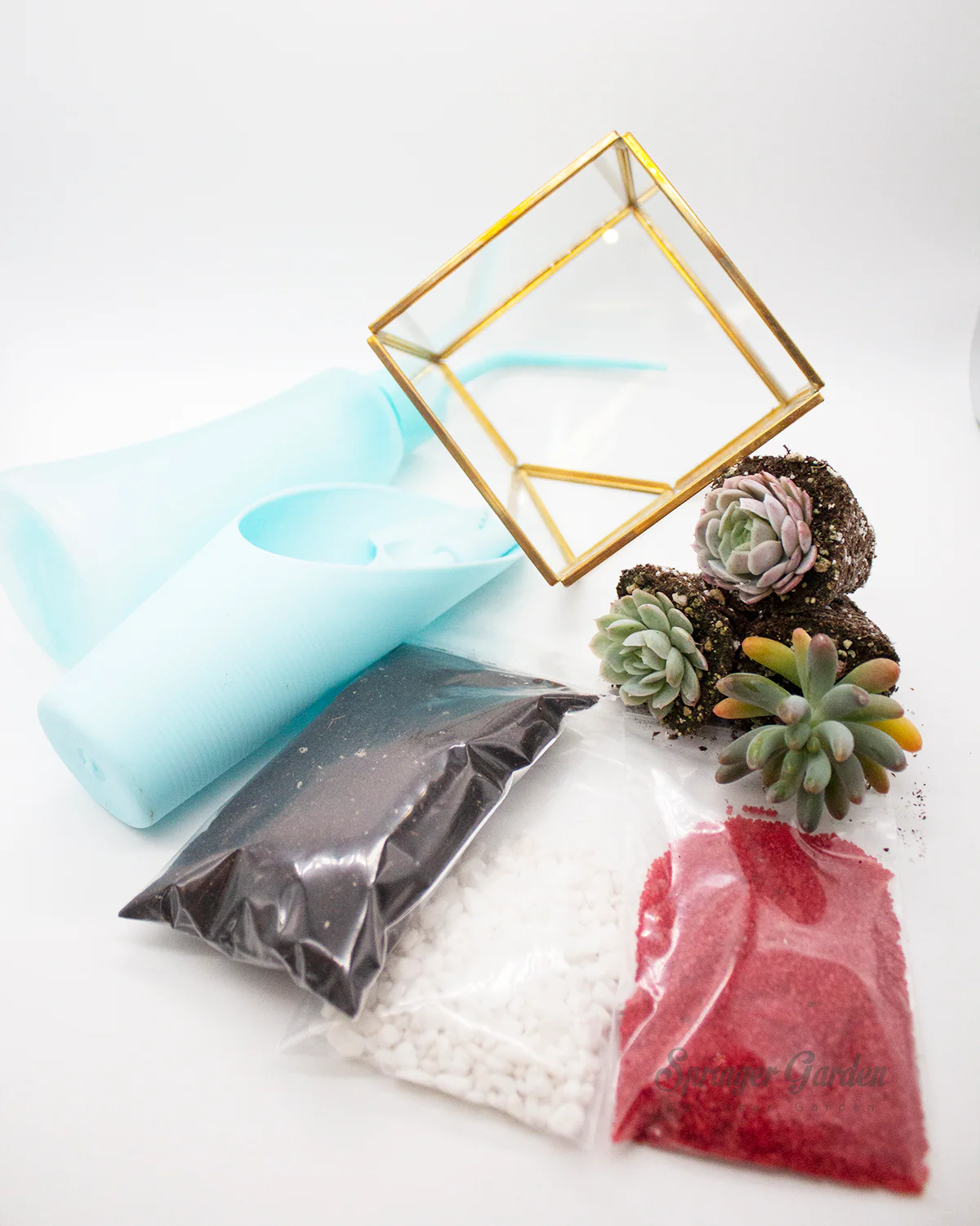DIY Succulents Terrarium Kit - Geometric Cube - Image 2