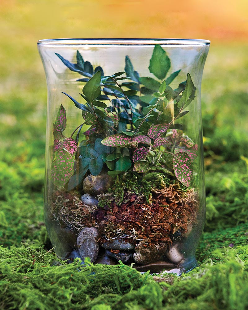 Forest Terrarium Kit 8oz. - Image 3