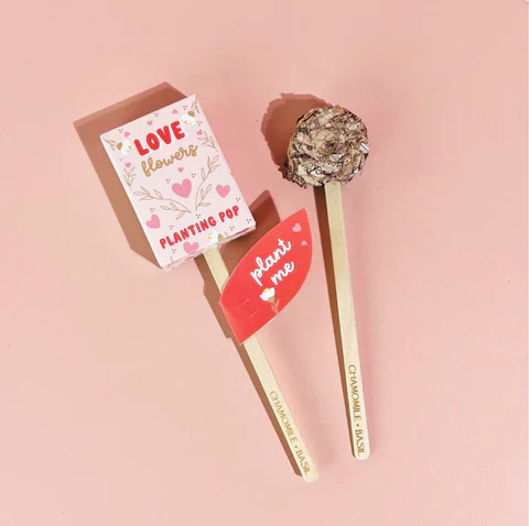 Fortune Flowers Garden + Gift Seed Planting Pop - Image 11
