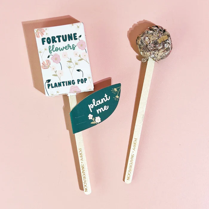 Fortune Flowers Garden + Gift Seed Planting Pop - Image 6