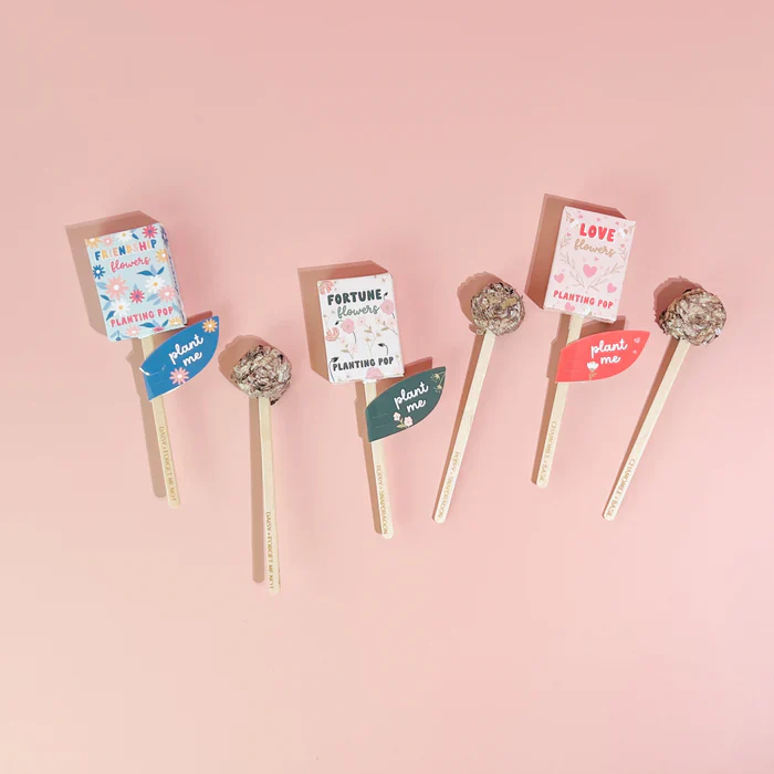Fortune Flowers Garden + Gift Seed Planting Pop - Image 8