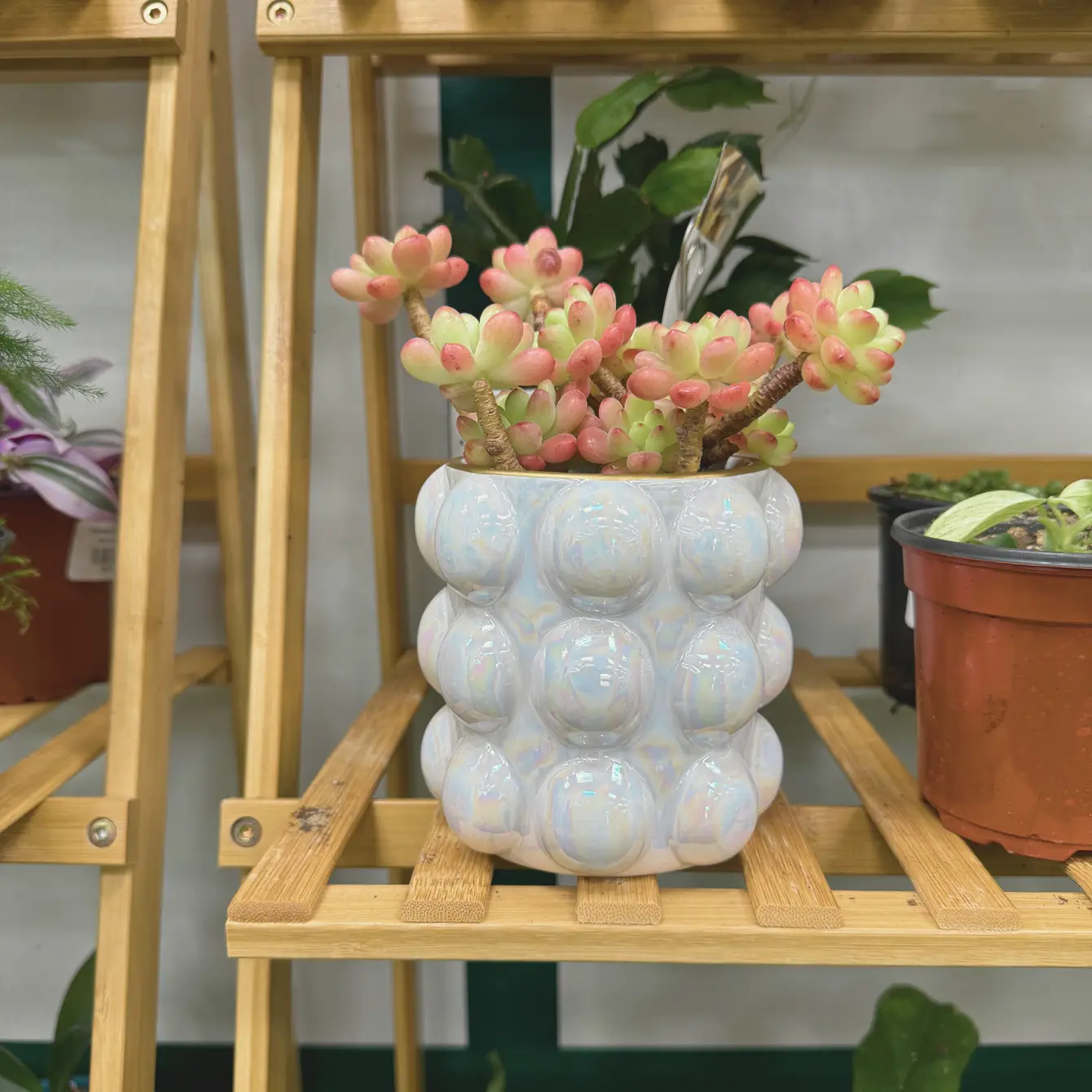 Glazed Bubble Planter - Image 2