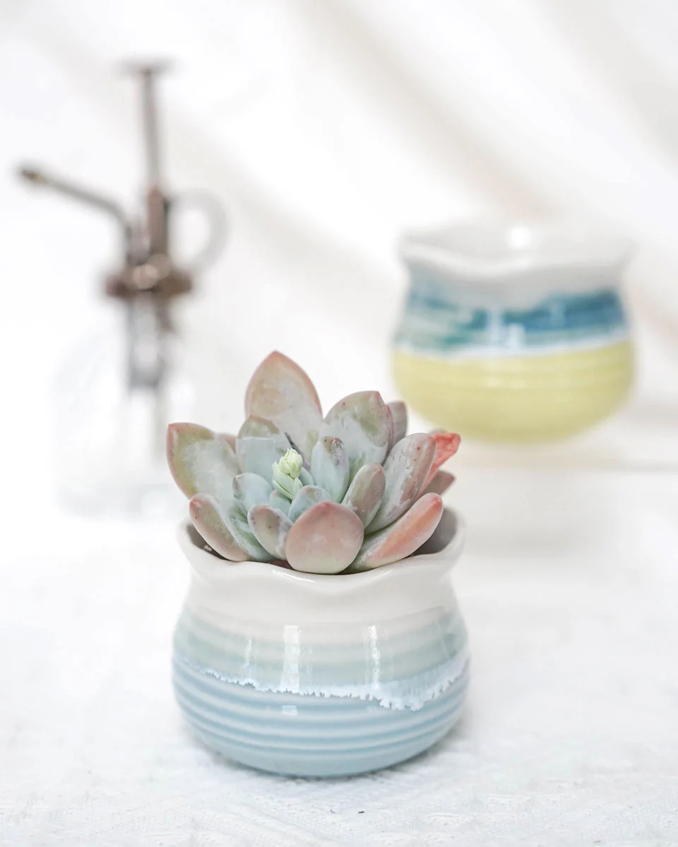 Glazed Colourful Lotus - Image 5