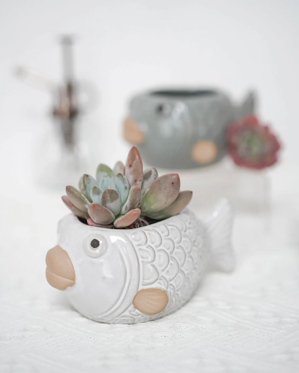 Glazed Fish - Image 4