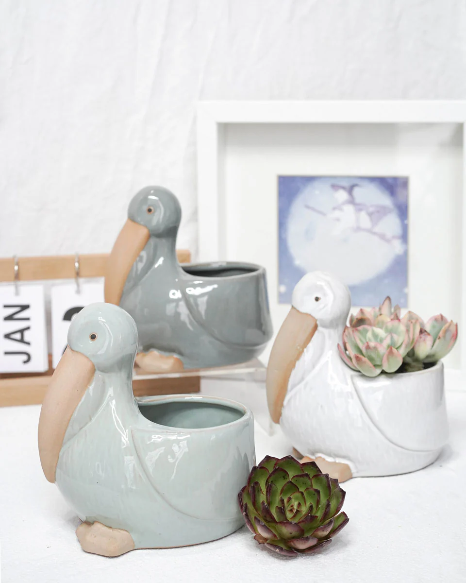 Glazed Pelican - Image 4