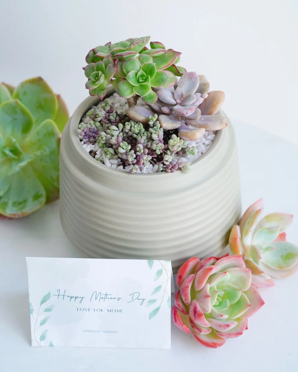 "Love Blooms" Succulent Flower Boutique - Image 2