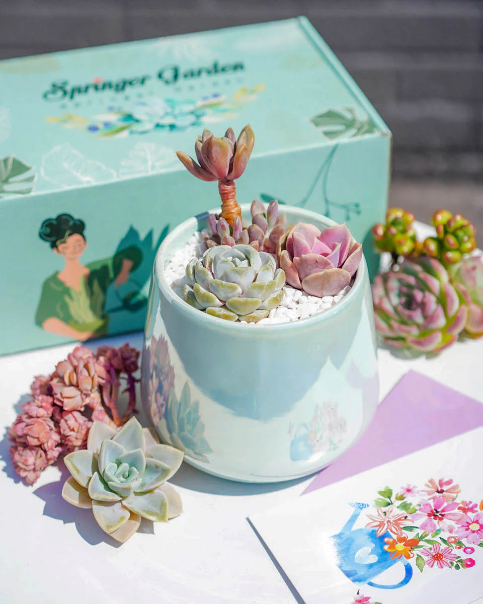 "Love Blooms" Succulent Flower Boutique Green - Image 2