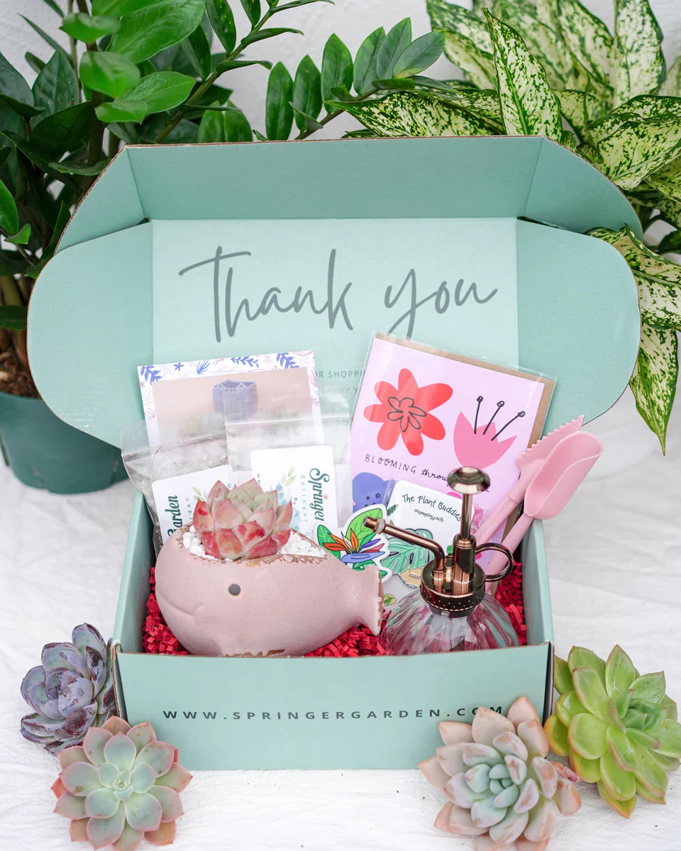 "Love Will Grow" Premium Korean-Succulent Gift Box