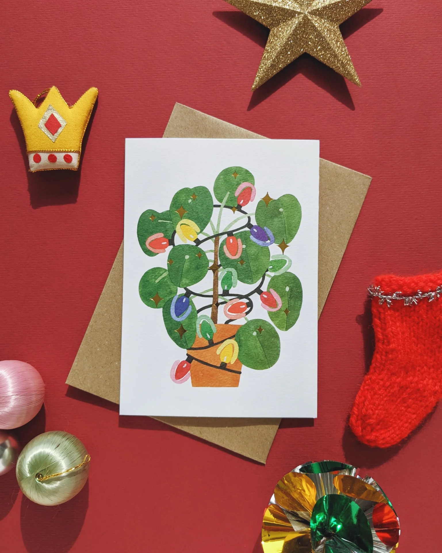 Pilea - Image 2