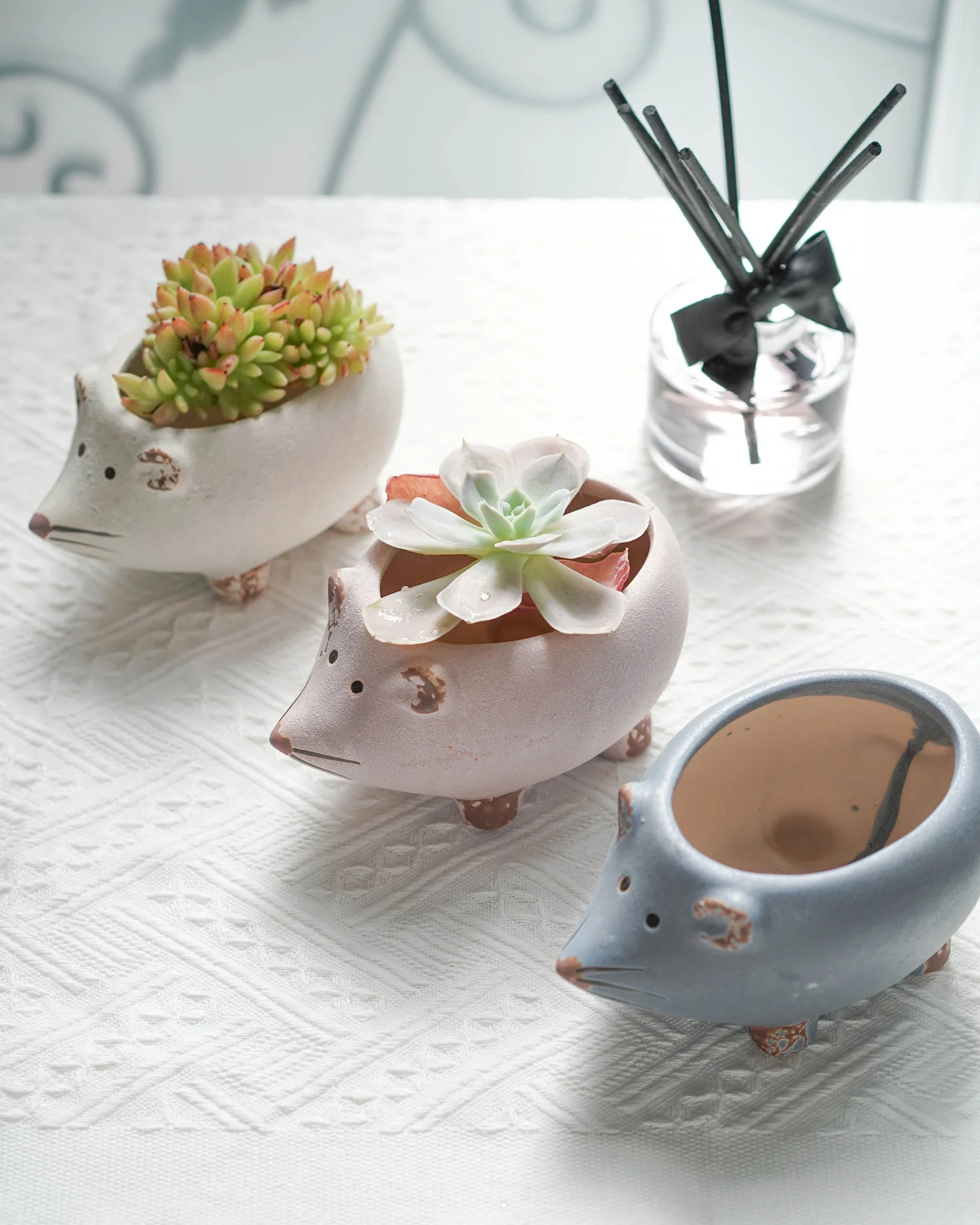 Succulent Assortment with Animal Planters - Image 5