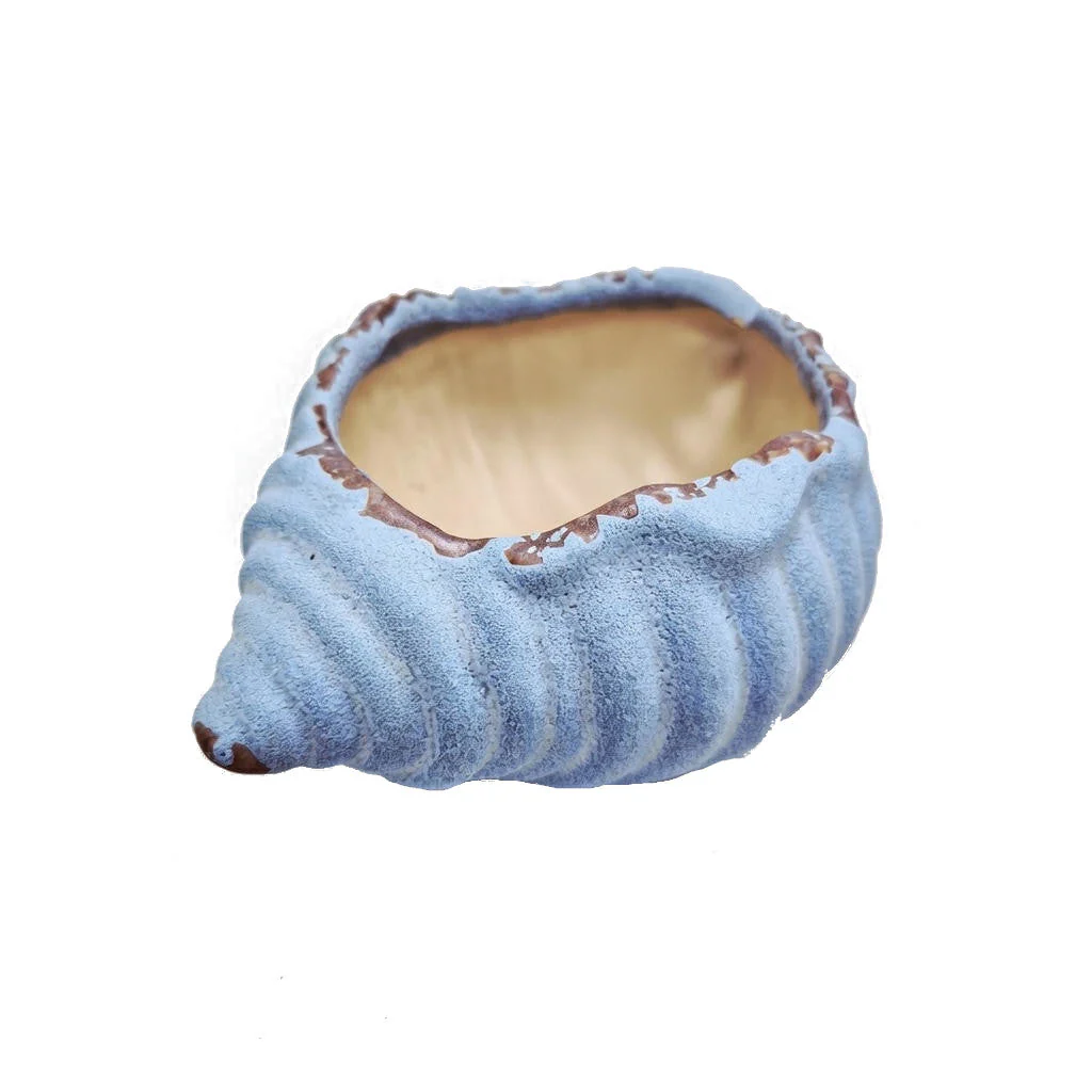Sea Snail Planter - Image 2