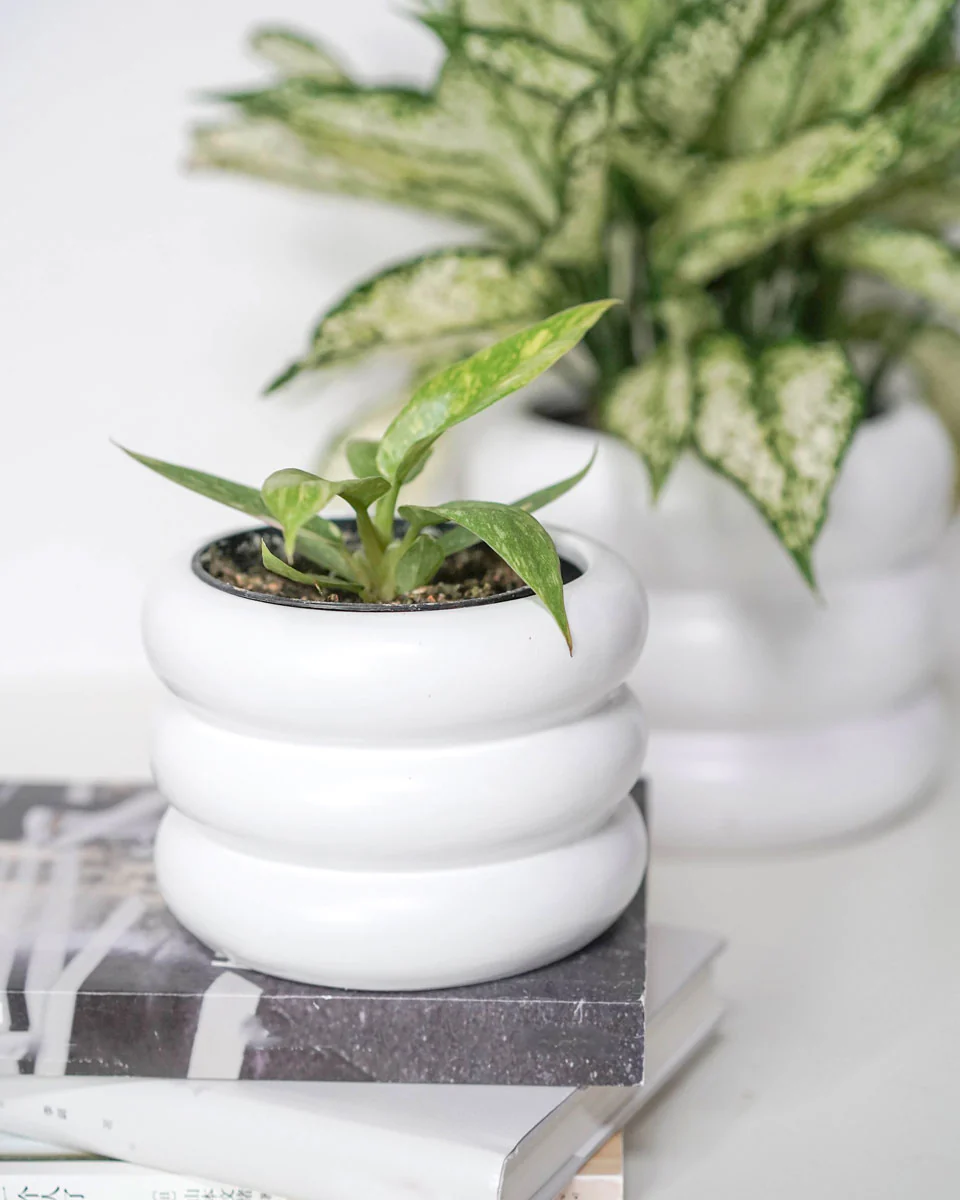 Ribbed Planter - Image 2