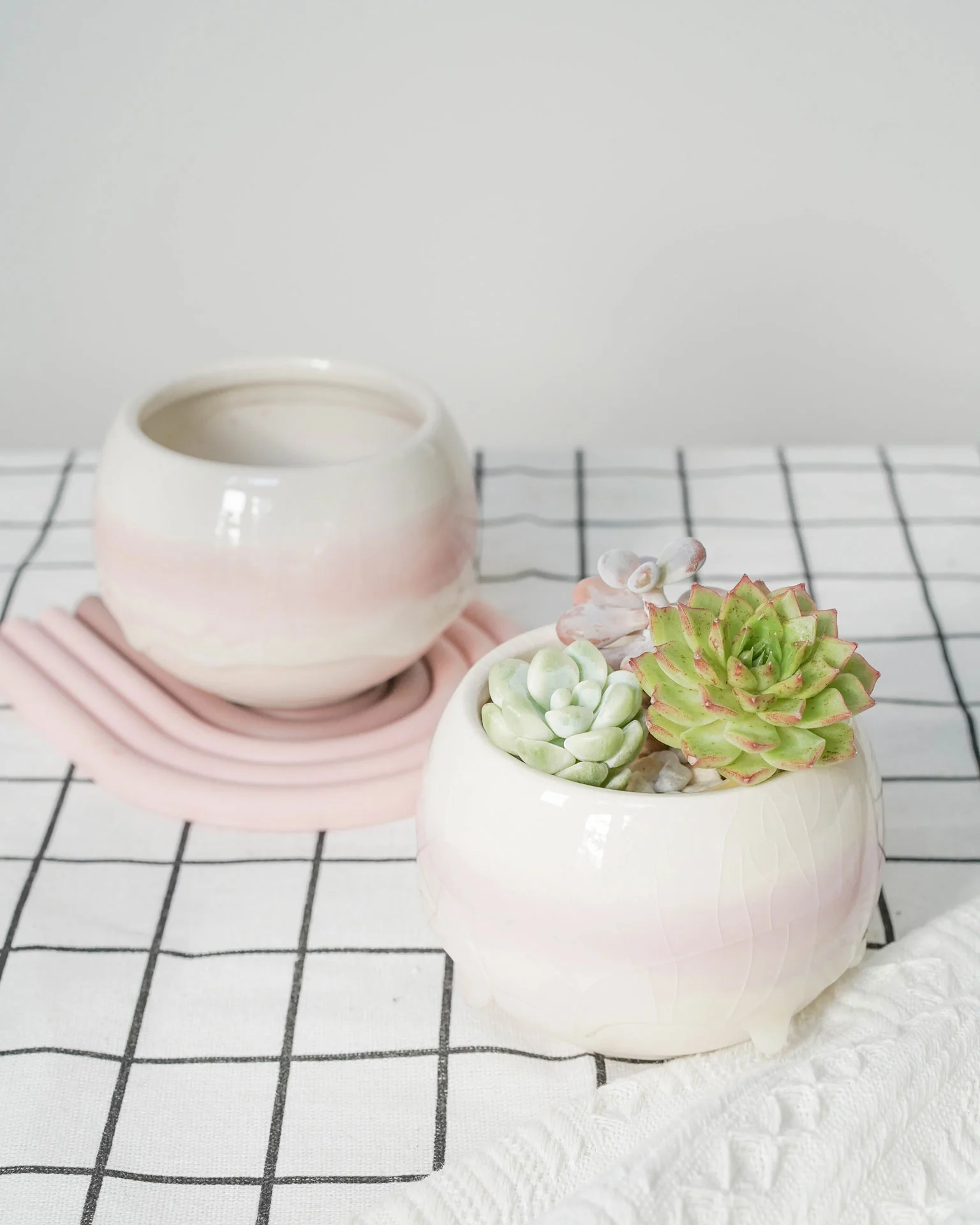 Succulent Assortment with Dripping Texture Planters - Image 6