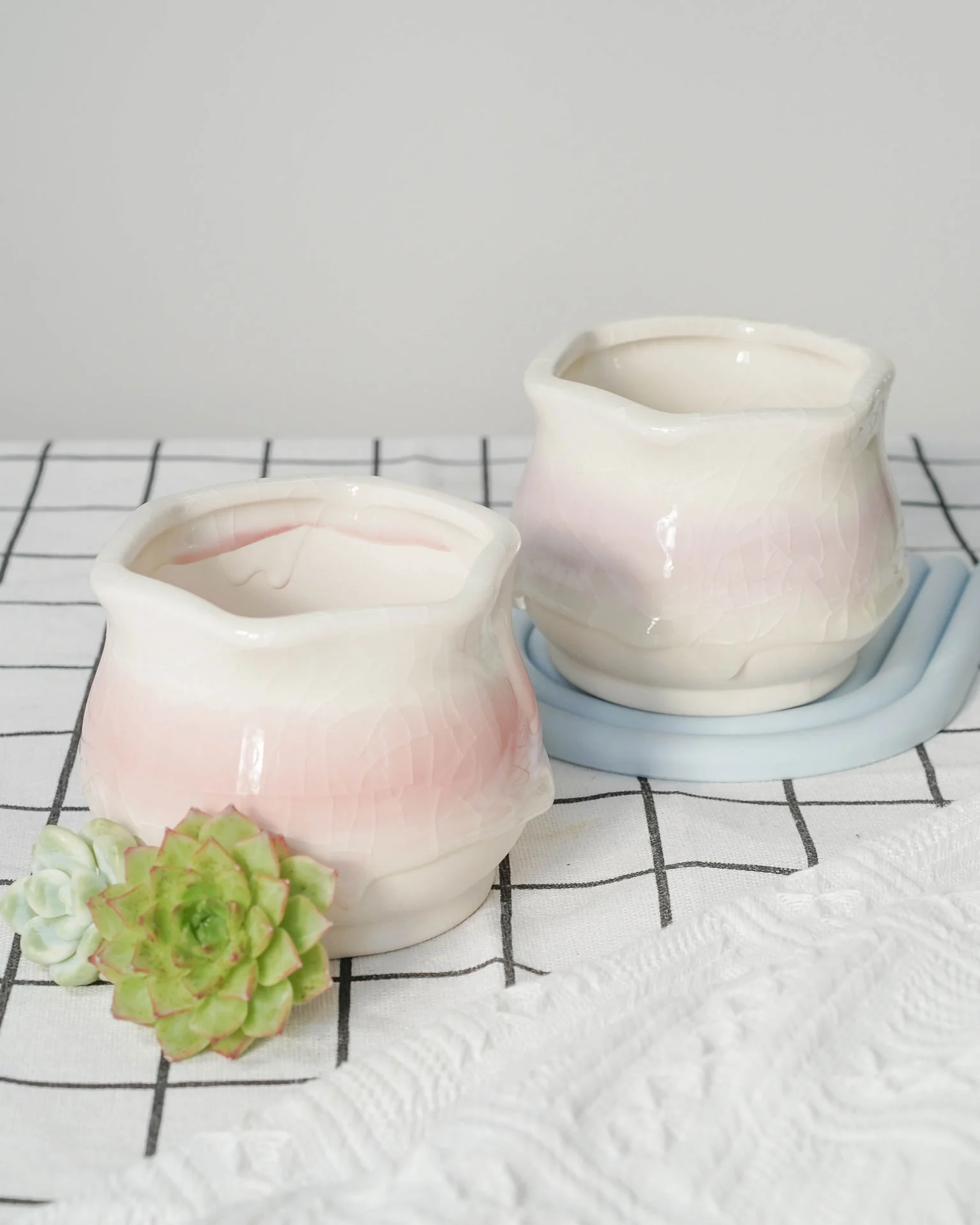 Succulent Assortment with Dripping Texture Planters - Image 7