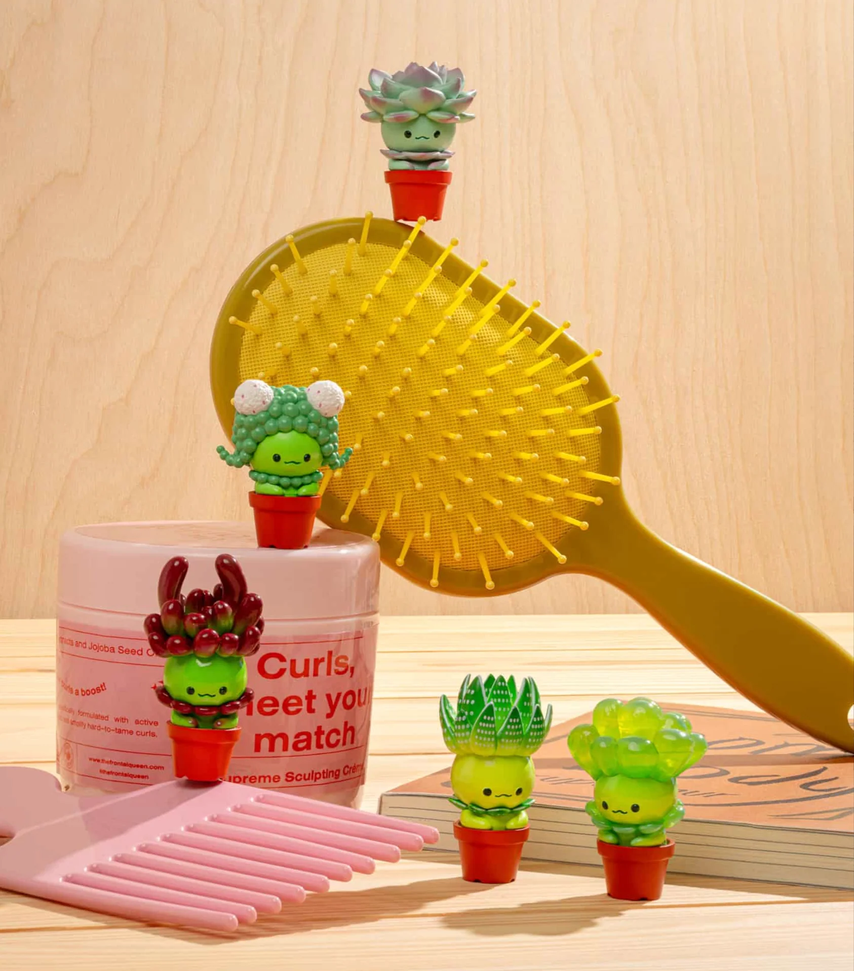 Succulent Friends Blind Box