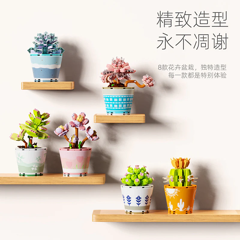 Succulents Plants Blocks - Image 2