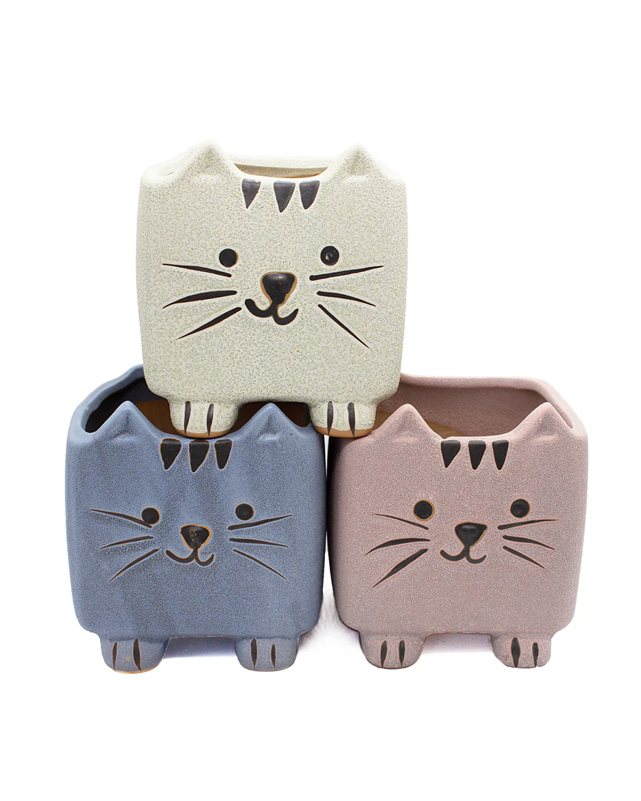 Super-Cute Cartoon Cats Tri-Color Set - Image 2