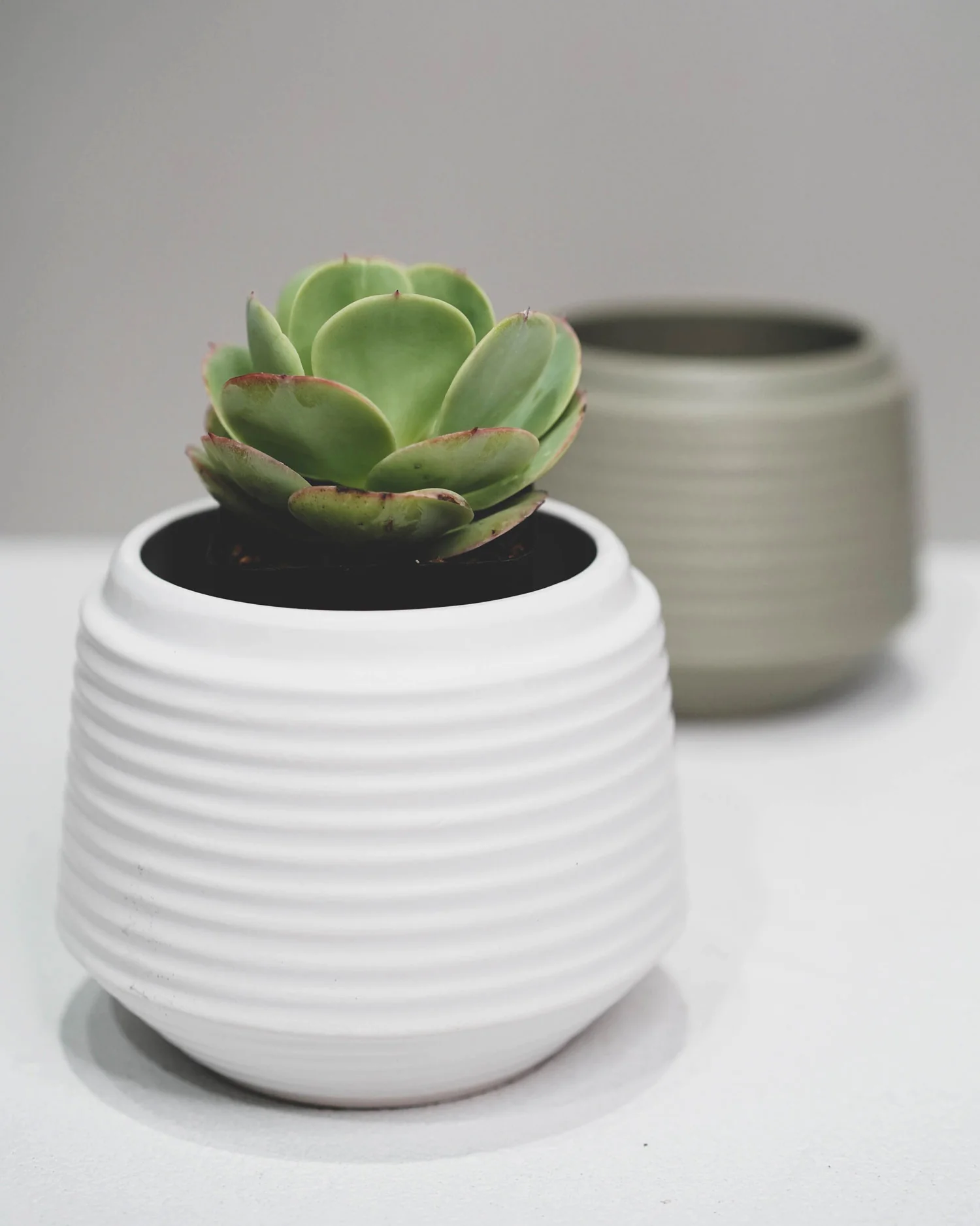 Three Coloured Rippled Pots - Image 3