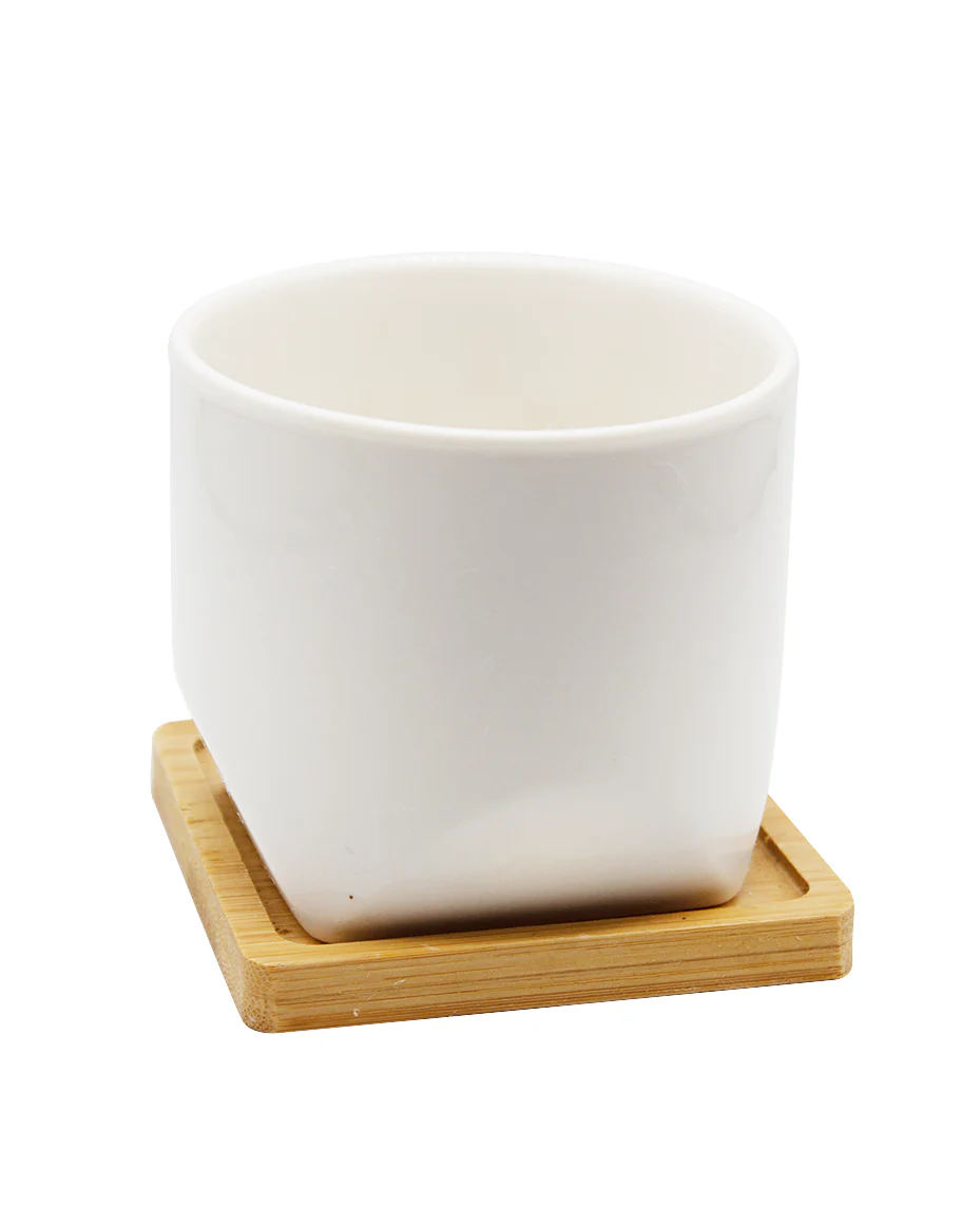 White Cup with Saucer - Image 3